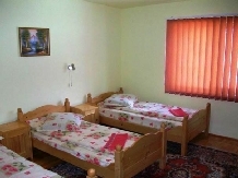 Pensiunea Tereza - accommodation in  Hateg Country (04)