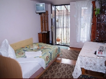 Pensiunea Irina - accommodation in  Hateg Country (02)