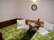 Pensiunea Irina - accommodation in  Hateg Country (08)