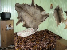 Pensiunea Potoci-Bicaz - accommodation in  Ceahlau Bicaz, Durau (07)