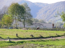 Pensiunea Mirabilandia - alloggio in  Apuseni, Valea Draganului (07)