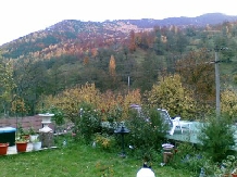Pensiunea Iulia Alexia - accommodation in  Brasov Depression, Buzau Valley (06)
