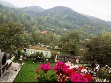 Pensiunea Iulia Alexia - accommodation in  Brasov Depression, Buzau Valley (10)