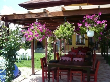 Pensiunea Andra - accommodation in  Olt Valley (04)