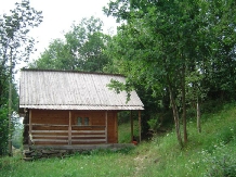 Cabana Victor - accommodation in  Maramures Country (17)