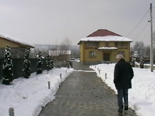 Pensiunea Areta - accommodation in  North Oltenia (09)