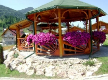 Pensiunea Teo - accommodation in  Harghita Covasna, Lacu Rosu (10)