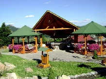 Pensiunea Teo - accommodation in  Harghita Covasna, Lacu Rosu (11)