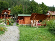Pensiunea Teo - accommodation in  Harghita Covasna, Lacu Rosu (16)