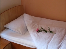Pensiunea Julia - accommodation in  Sighisoara (02)