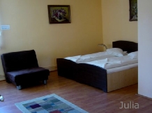 Pensiunea Julia - accommodation in  Sighisoara (09)