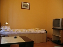 Pensiunea Julia - accommodation in  Sighisoara (16)