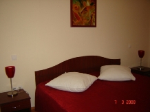 Pensiunea Speranta - accommodation in  Sovata - Praid (04)
