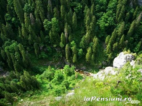 Pensiunea Daniadis - accommodation in  Apuseni Mountains (Surrounding)