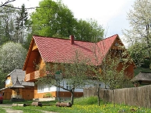 Pensiunea Poiana de Vis - alloggio in  Bucovina (02)