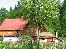 Pensiunea Poiana de Vis - accommodation in  Bucovina (07)