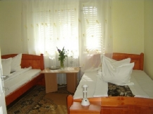 Casa Cosmin - accommodation in  Baile Felix (06)