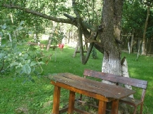 Pensiunea Izvorul - accommodation in  Fagaras and nearby, Sambata (16)