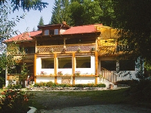 Casa Vancea - alloggio in  Bucovina (01)