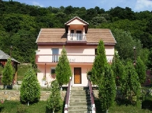 Pensiunea Andreea - accommodation in  Danube Boilers and Gorge, Clisura Dunarii (01)
