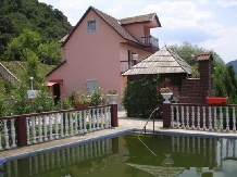 Pensiunea Andreea - alloggio in  Gola del Danubio, Clisura Dunarii (02)