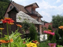 Pensiunea Andreea - accommodation in  Danube Boilers and Gorge, Clisura Dunarii (03)