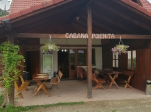 Cabana Poienita - alloggio in  Fagaras e vicinanze, Sambata (01)