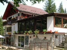 Pensiunea Faast - alloggio in  Valle di Prahova (13)