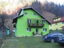 Pensiunea Topirceanu - accommodation in  Transylvania (01)