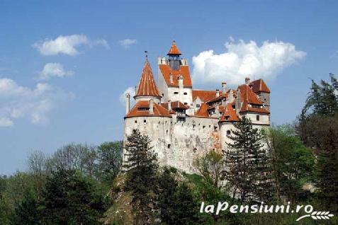 Pensiunea Topirceanu - accommodation in  Transylvania (Surrounding)
