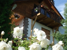 Casa cu Trandafiri - alloggio in  Rucar - Bran, Piatra Craiului, Moeciu (16)