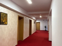 Pensiunea Restaurant Tudor - accommodation in  Rucar - Bran, Rasnov (39)