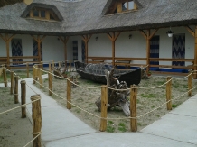 Casa alb-albastra - accommodation in  Danube Delta (01)