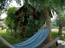 Casa Dintre Salcii - accommodation in  Danube Delta (05)