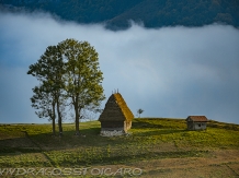 Pensiunea Totu'Bun - accommodation in  Apuseni Mountains, Motilor Country, Arieseni (48)