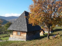 Casele de vacanta Luca si Vicentiu - accommodation in  Maramures Country (54)