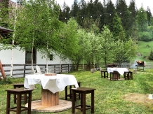 Pensiunea Roua de Munte - accommodation in  Bistrita (08)