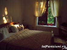 Vila Castelul Maria - accommodation in  Apuseni Mountains, Hateg Country (21)