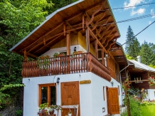 Pensiunea Danciu - accommodation in  Apuseni Mountains, Motilor Country, Arieseni (11)