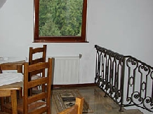 Pensiunea Vraja Muntelui - accommodation in  Apuseni Mountains, Motilor Country, Arieseni (15)
