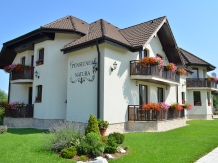 Pensiunea Natura - accommodation in  Fagaras and nearby (03)