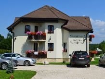 Pensiunea Natura - accommodation in  Fagaras and nearby (05)