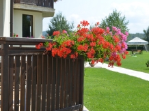 Pensiunea Natura - accommodation in  Fagaras and nearby (06)