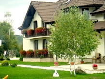Pensiunea Natura - accommodation in  Fagaras and nearby (12)