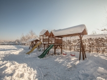Pensiunea Natura - accommodation in  Fagaras and nearby (59)