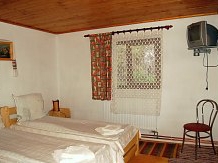 Pensiunea de sub munte " Dobra" - accommodation in  Apuseni Mountains, Motilor Country, Arieseni (11)