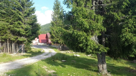 Cabana Izvorul Ariesului - accommodation in  Apuseni Mountains, Motilor Country, Arieseni (Surrounding)