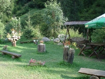 Pensiunea Onelia - accommodation in  Apuseni Mountains, Motilor Country, Arieseni (04)