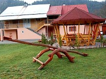 Pensiunea Ady - accommodation in  Apuseni Mountains, Motilor Country, Arieseni (19)