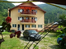 Vila Remmar - alloggio in  Valea Oltului, Voineasa, Transalpina (09)